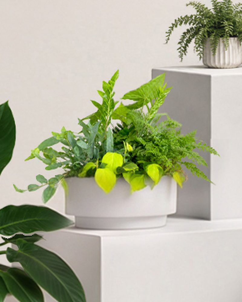 Small Foliage Bowl